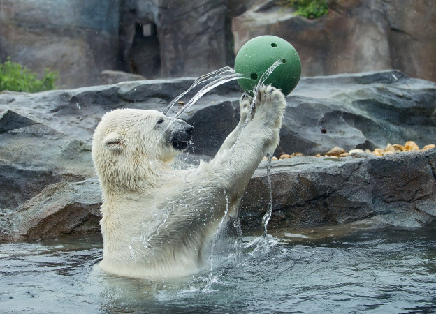 Schönbrunn-Zoo-Austria